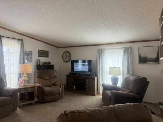 653 S Bluegill Lane Brooks Township, MI 49337