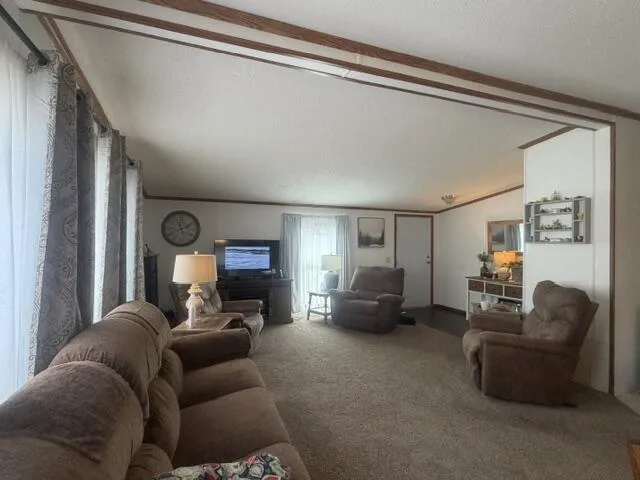 653 S Bluegill Lane Brooks Township, MI 49337