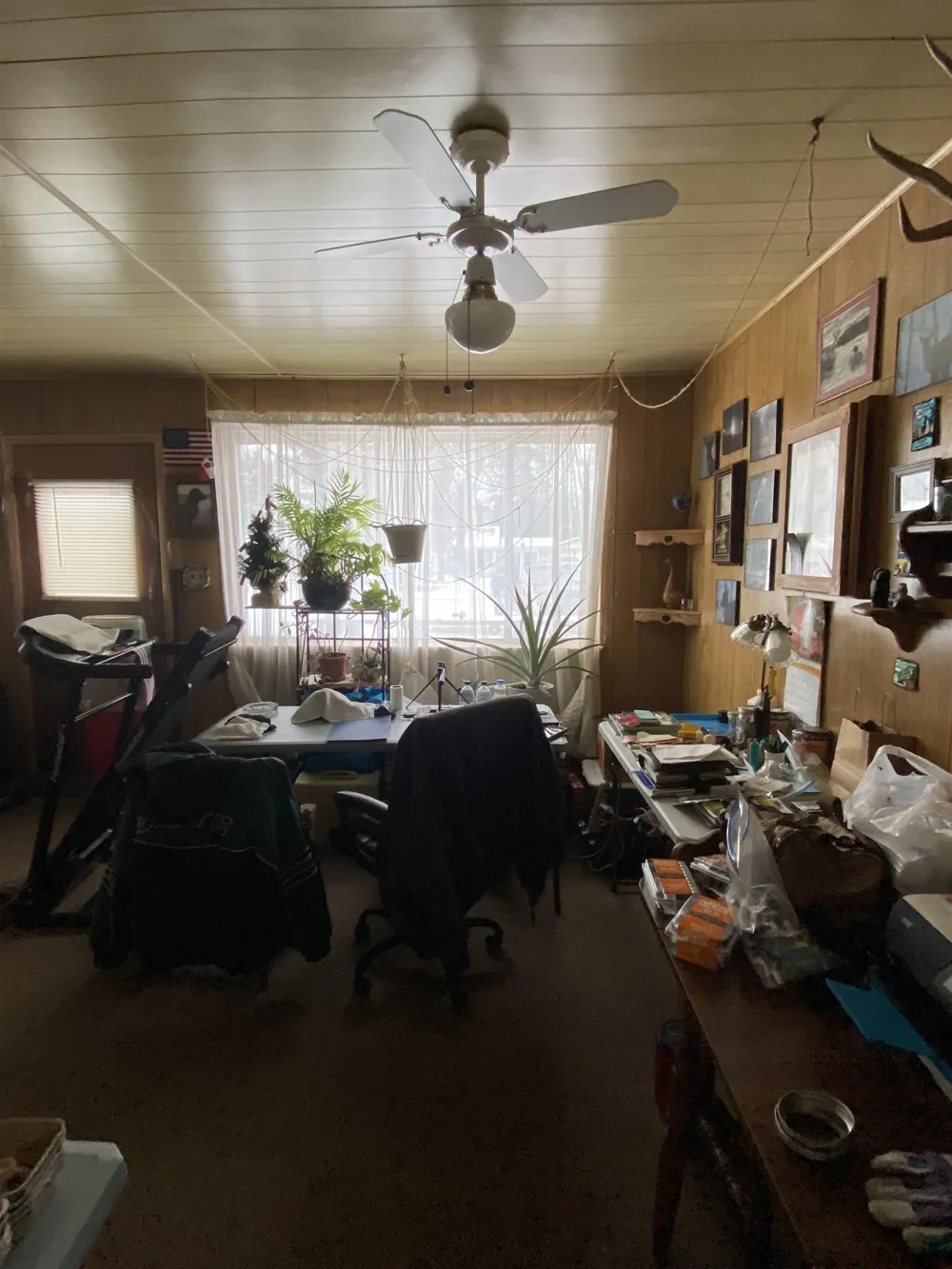 4038 W Brookview Drive Mills Township, MI 48756