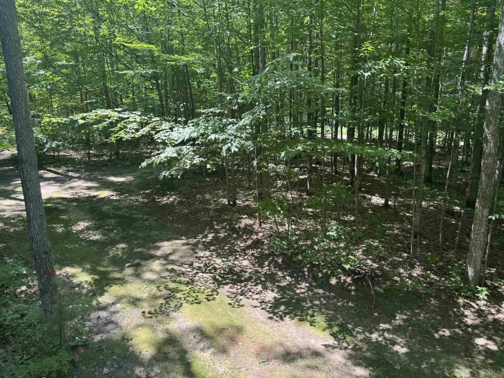 6700 NE Park Drive Coldsprings Township, MI 49646