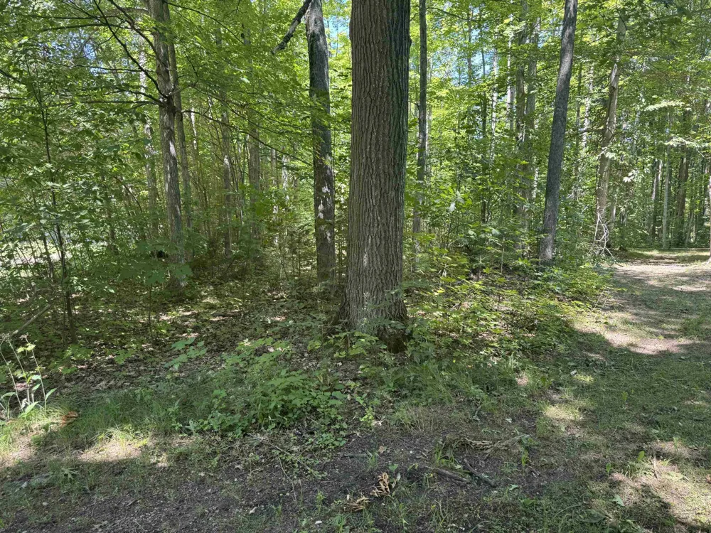 6700 NE Park Drive Coldsprings Township, MI 49646