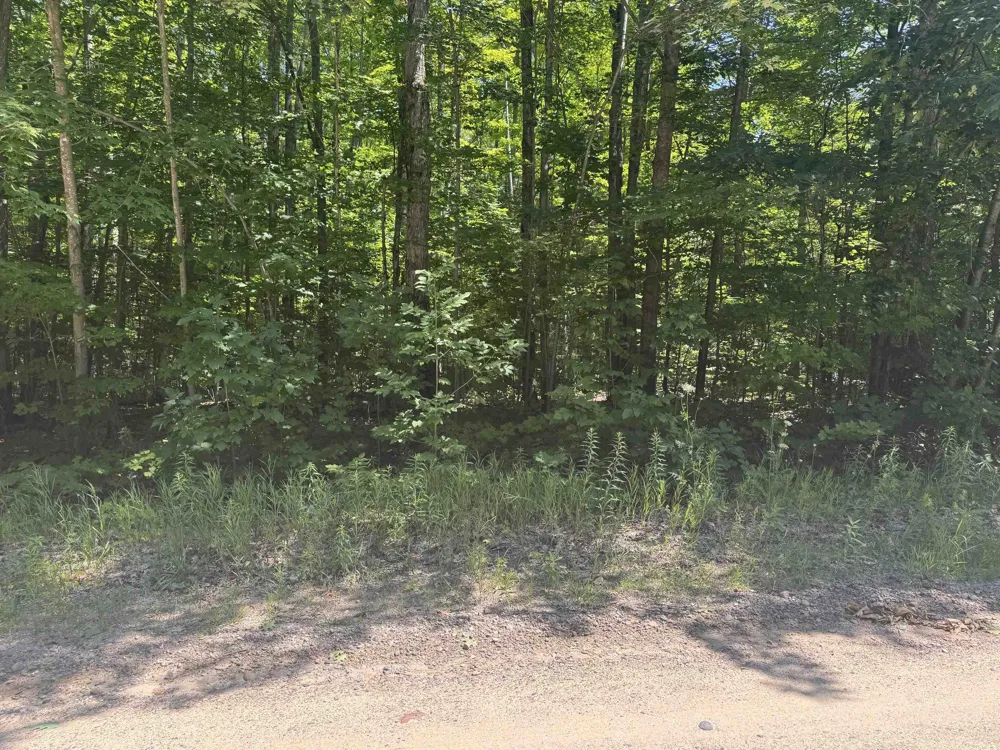 6700 NE Park Drive Coldsprings Township, MI 49646