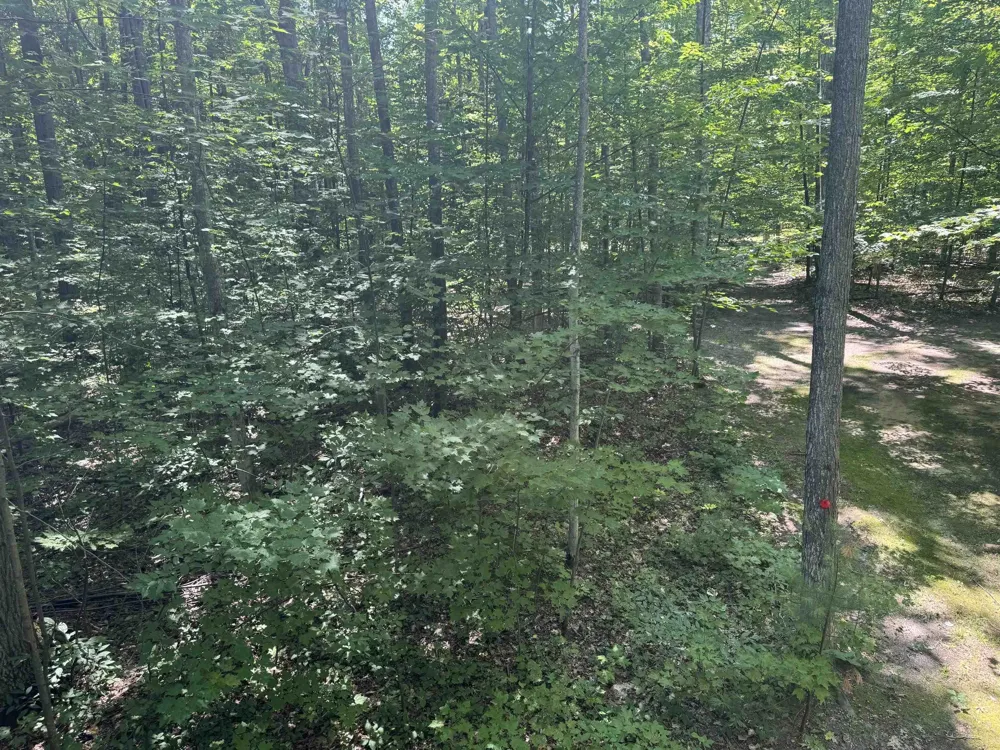 6700 NE Park Drive Coldsprings Township, MI 49646