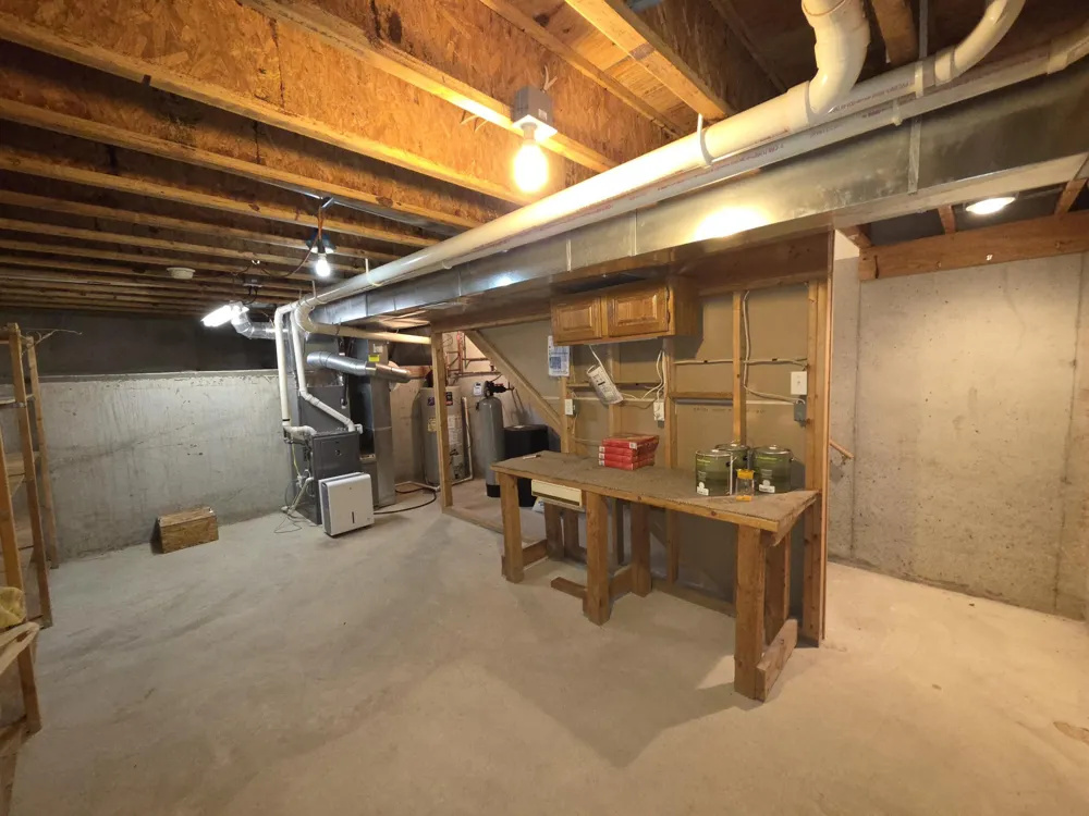 445 Pettibone Drive Lilley Township, MI 49309