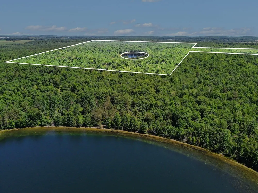 3241 E Trask Lake Road Haynes Township, MI 48742