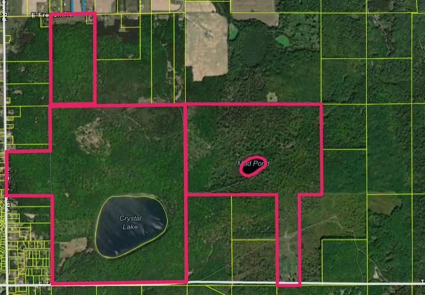 3241 E Trask Lake Road Haynes Township, MI 48742