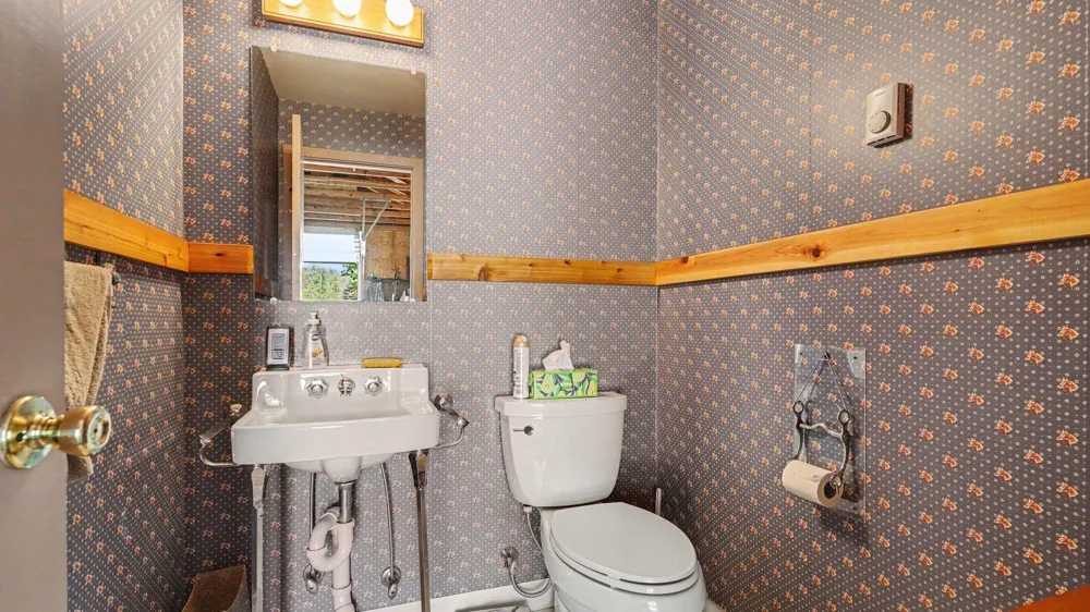 3241 E Trask Lake Road Haynes Township, MI 48742
