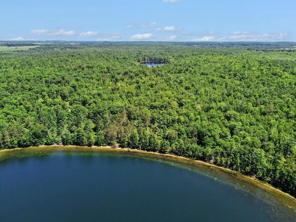 3241 E Trask Lake Road Haynes Township, MI 48742