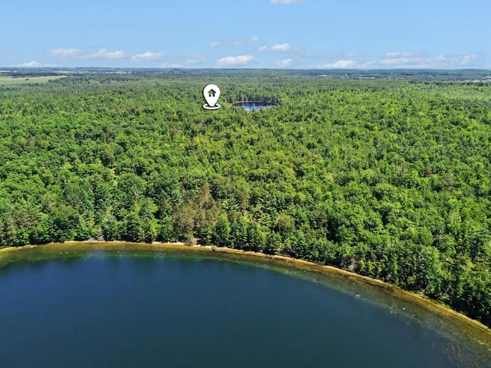3241 E Trask Lake Road Haynes Township, MI 48742