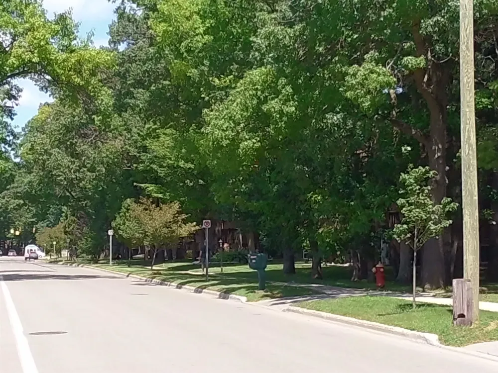 315 Fair Street Traverse City City, MI 49686