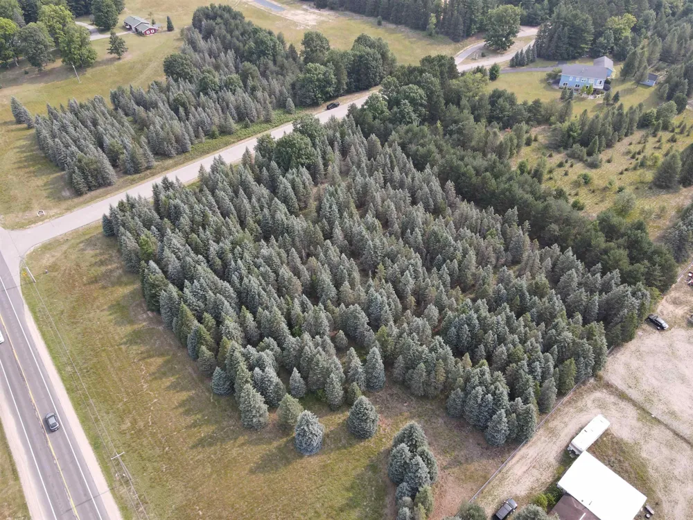 Danbury Road Paradise Township, MI 49649