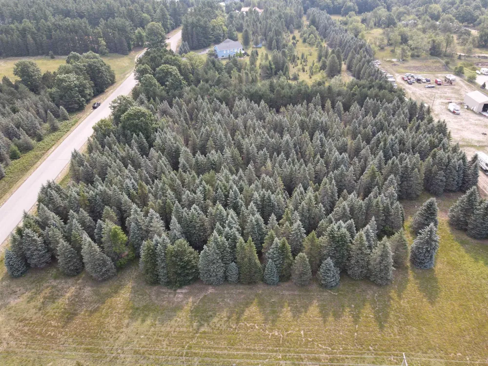 Danbury Road Paradise Township, MI 49649