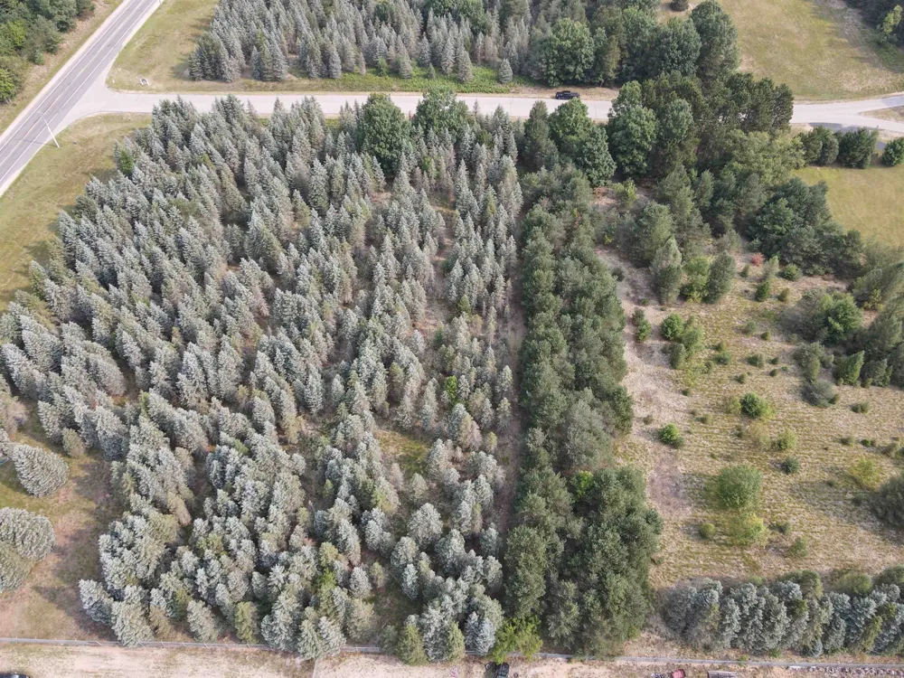 Danbury Road Paradise Township, MI 49649