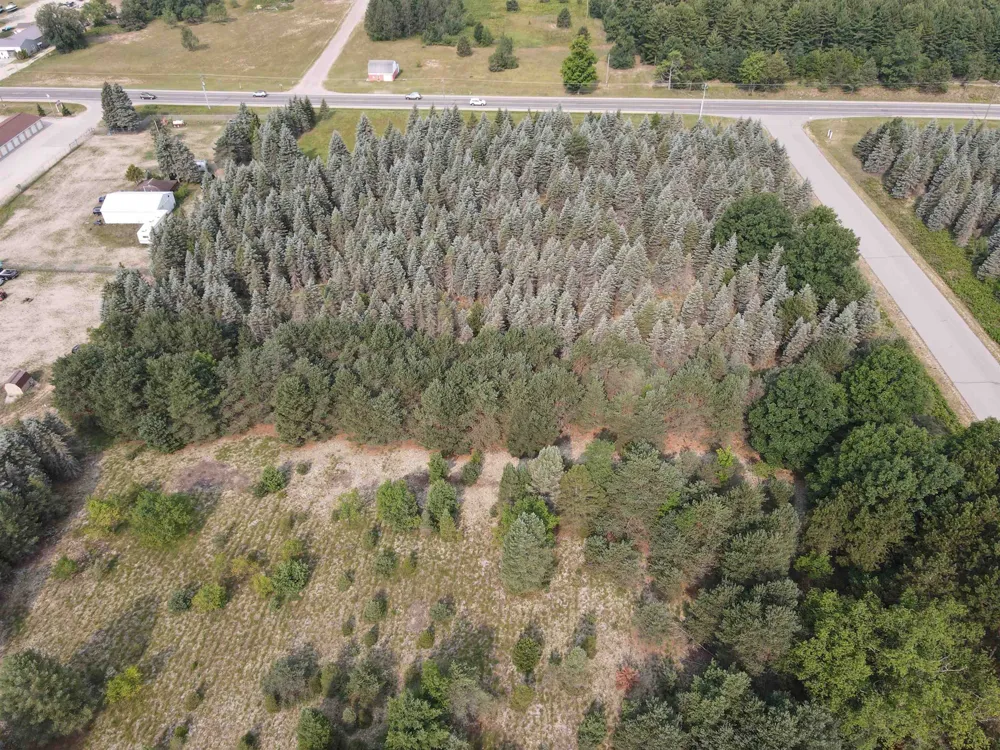 Danbury Road Paradise Township, MI 49649