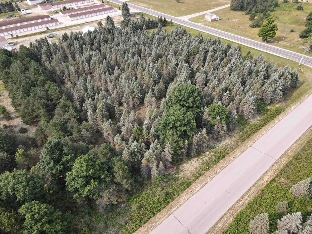 Danbury Road Paradise Township, MI 49649
