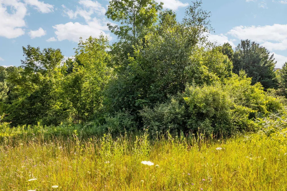 14890 Mallard Drive Peninsula Township, MI 49686