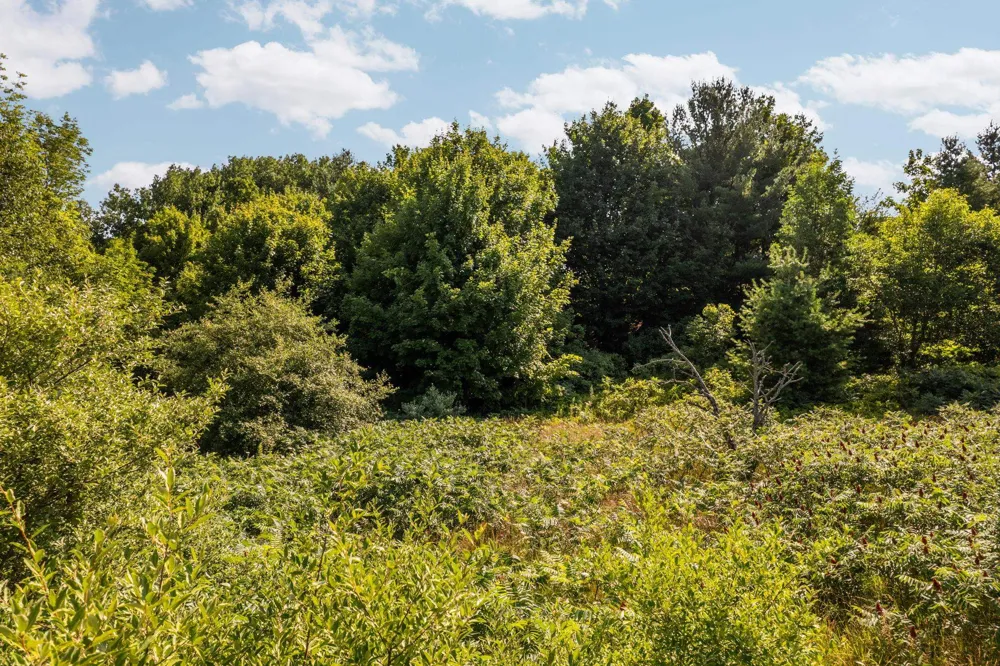 14890 Mallard Drive Peninsula Township, MI 49686