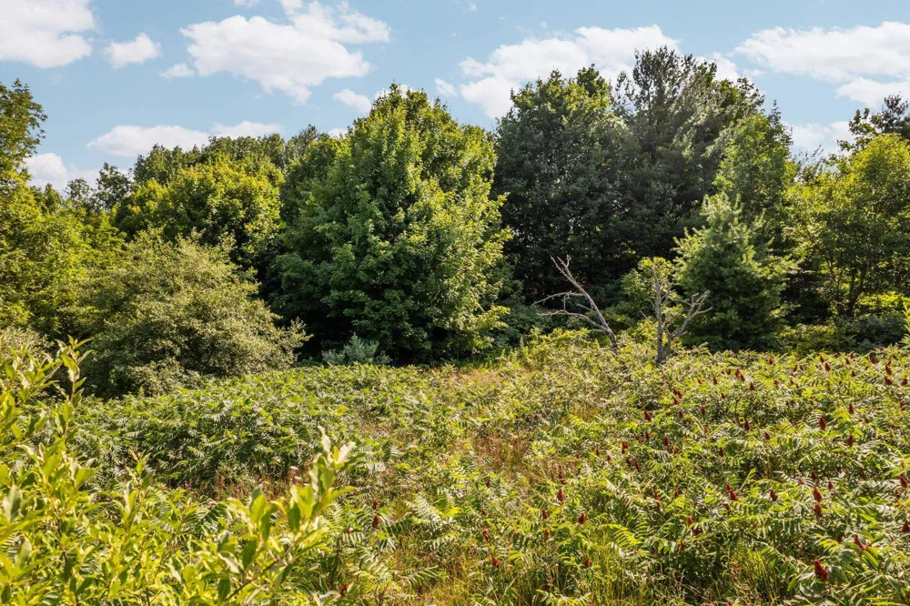 14890 Mallard Drive Peninsula Township, MI 49686