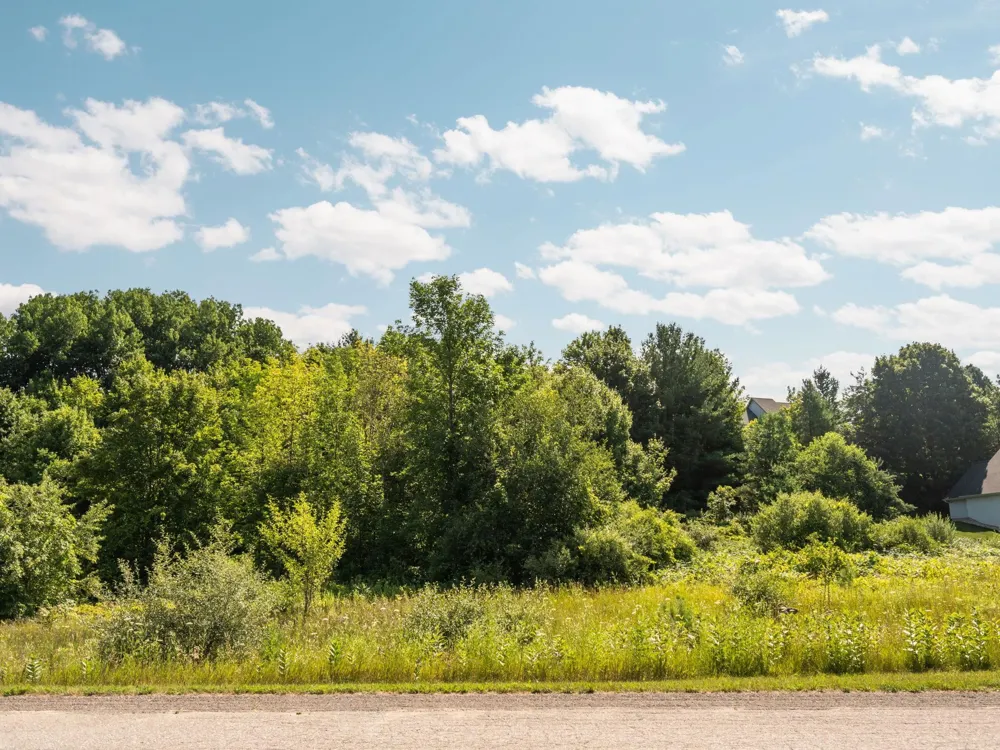 14890 Mallard Drive Peninsula Township, MI 49686