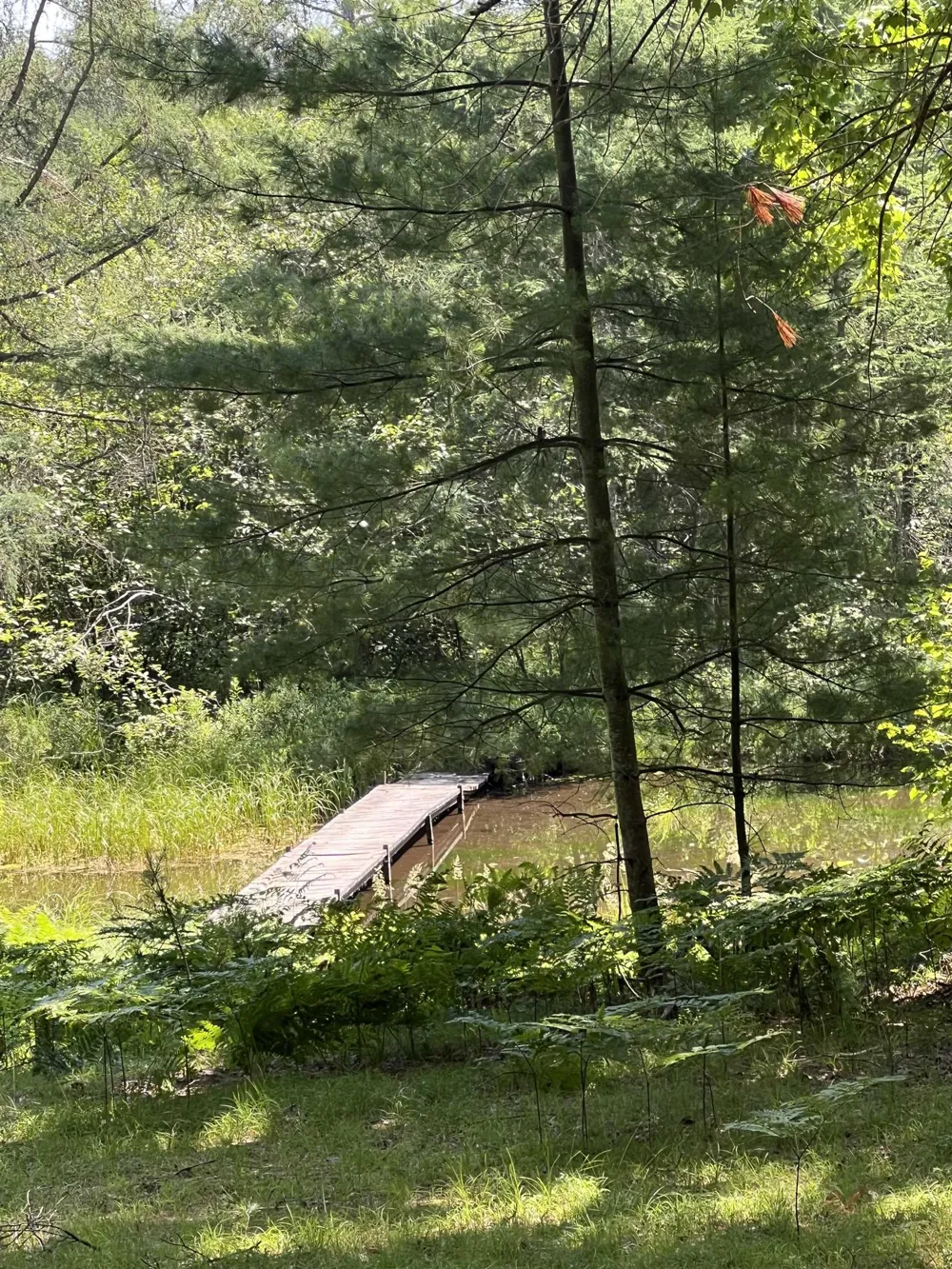 2323 Hummingbird Lane Frederic Township, MI 49738