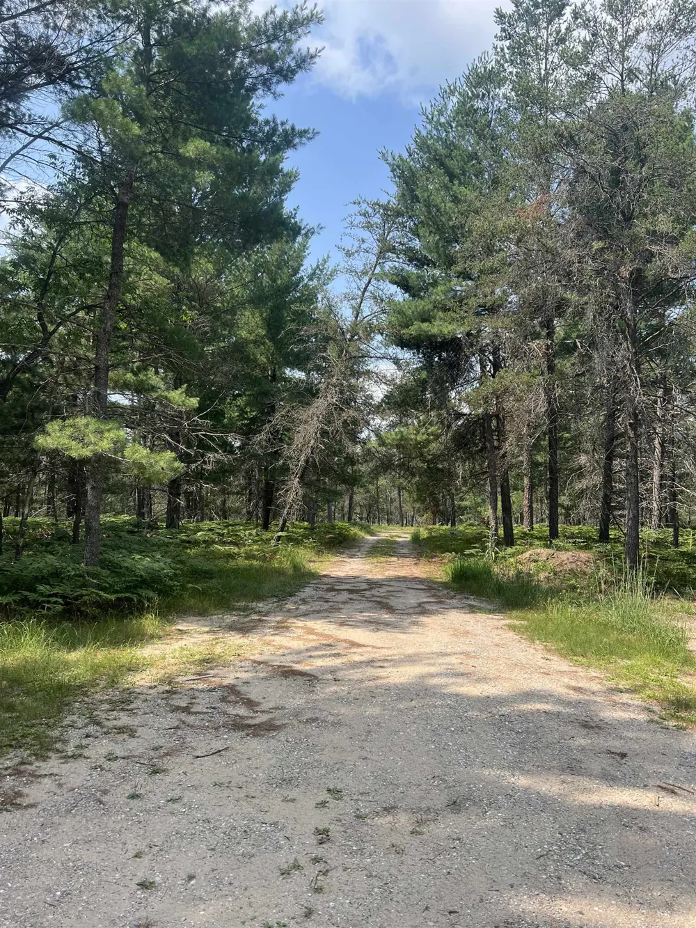 2323 Hummingbird Lane Frederic Township, MI 49738