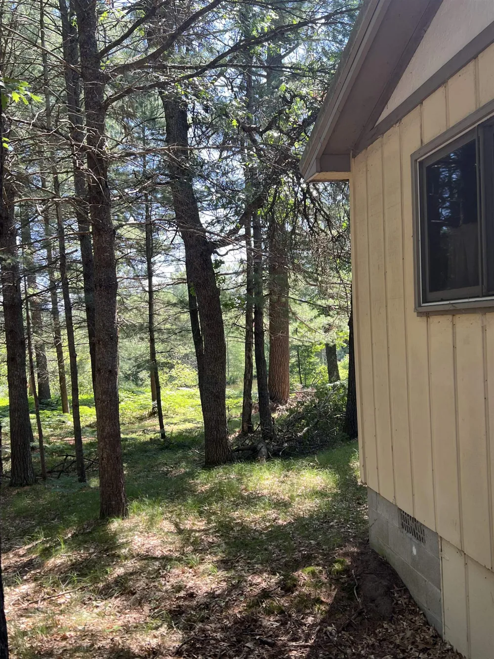 2323 Hummingbird Lane Frederic Township, MI 49738