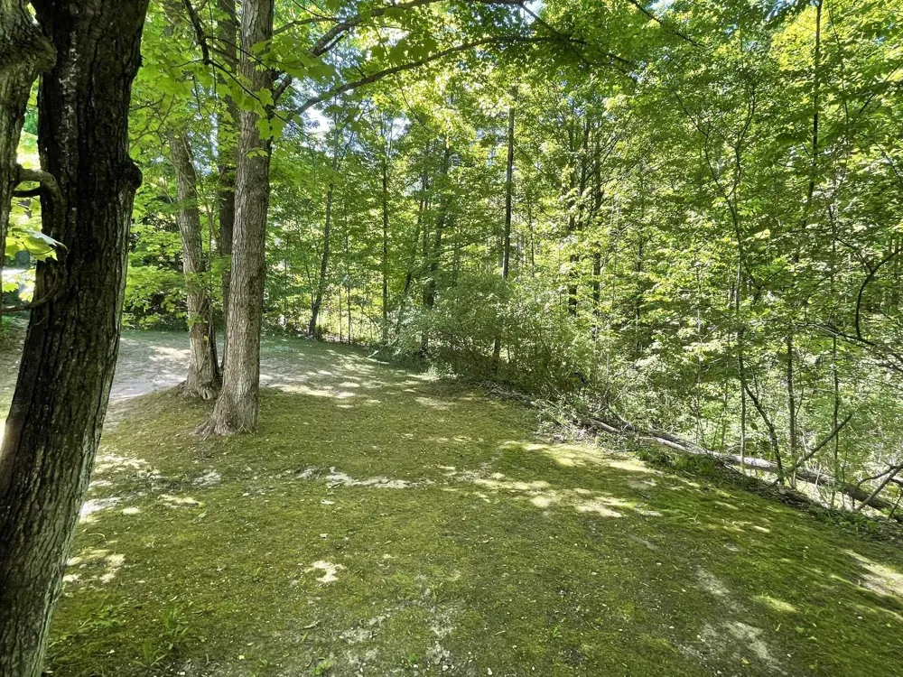 7430 River Street Benzonia Township, MI 49616