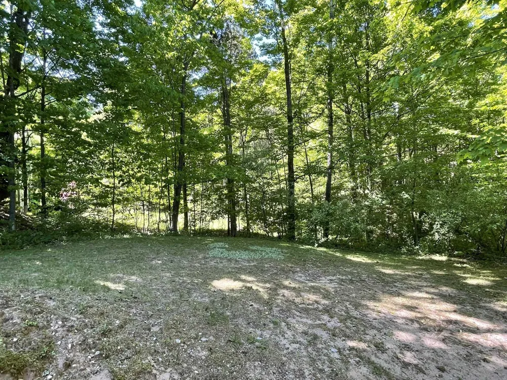 7430 River Street Benzonia Township, MI 49616