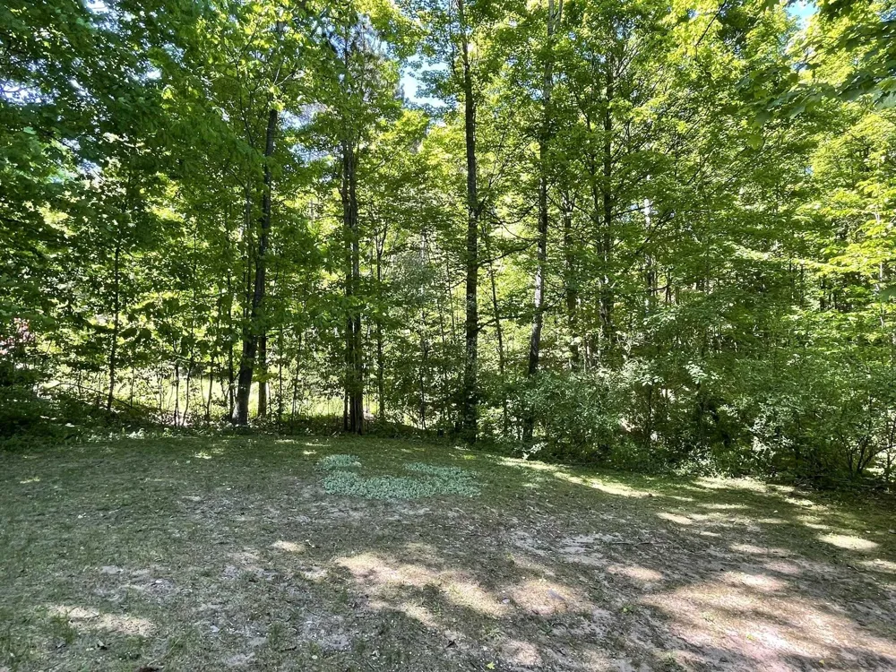 7430 River Street Benzonia Township, MI 49616