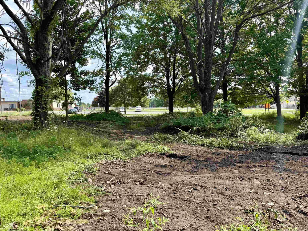 Buckley Elk Rapids Township, MI 49629