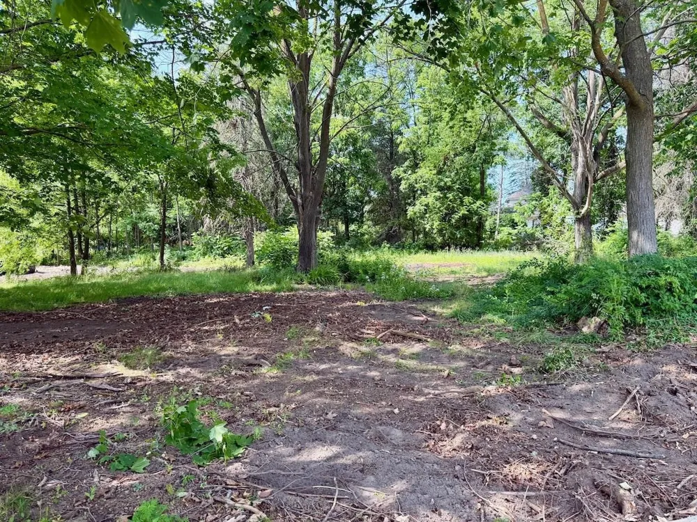 Buckley Elk Rapids Township, MI 49629