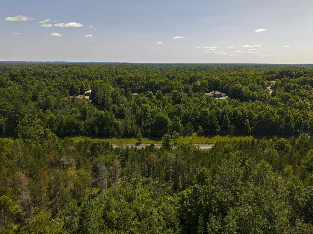 Rapid City Road Clearwater Township, MI 49676