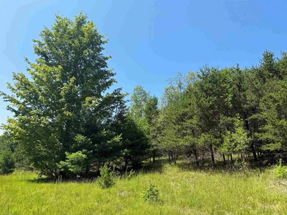 Rapid City Road Clearwater Township, MI 49676