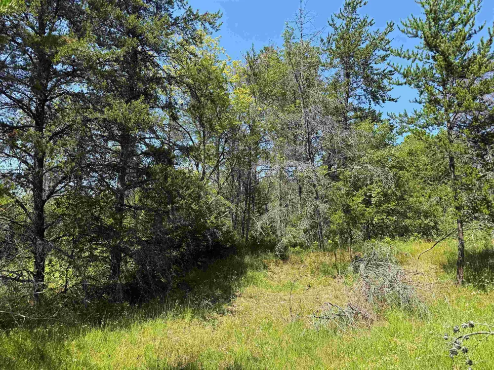 Rapid City Road Clearwater Township, MI 49676
