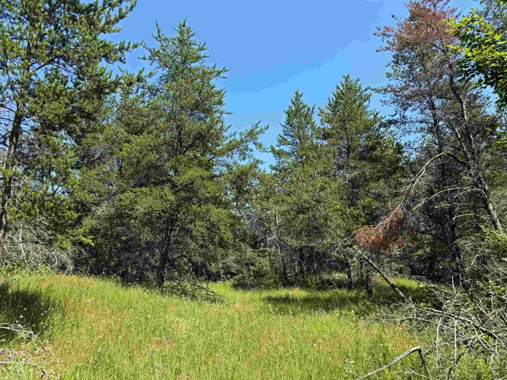 Rapid City Road Clearwater Township, MI 49676