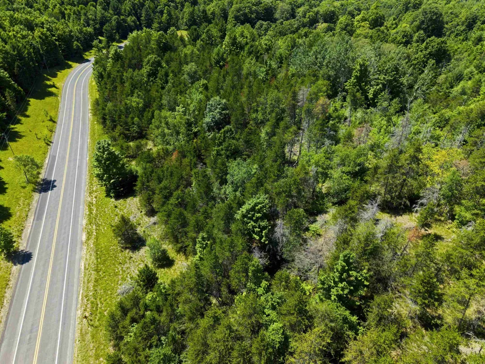 Rapid City Road Clearwater Township, MI 49676