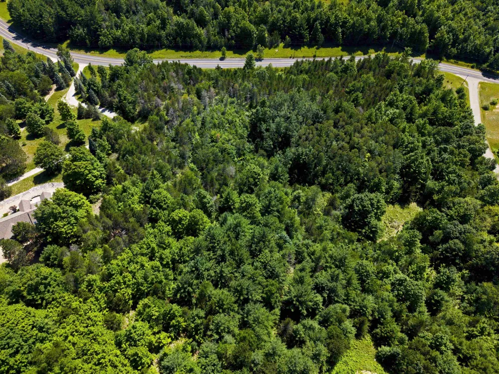 Rapid City Road Clearwater Township, MI 49676
