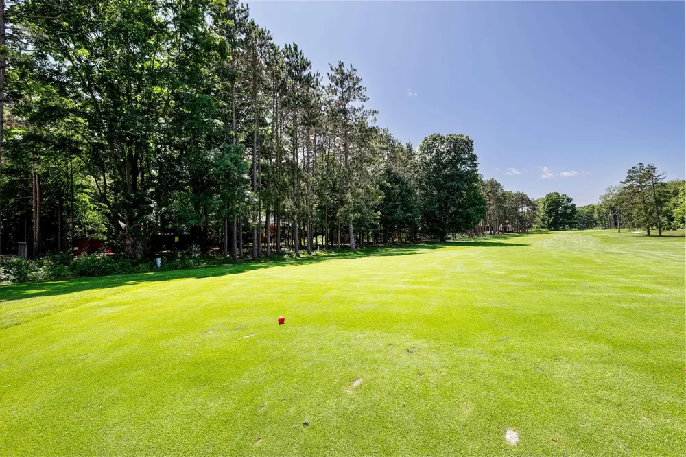 12132 Crystal Mountain Drive Weldon Township, MI 49683