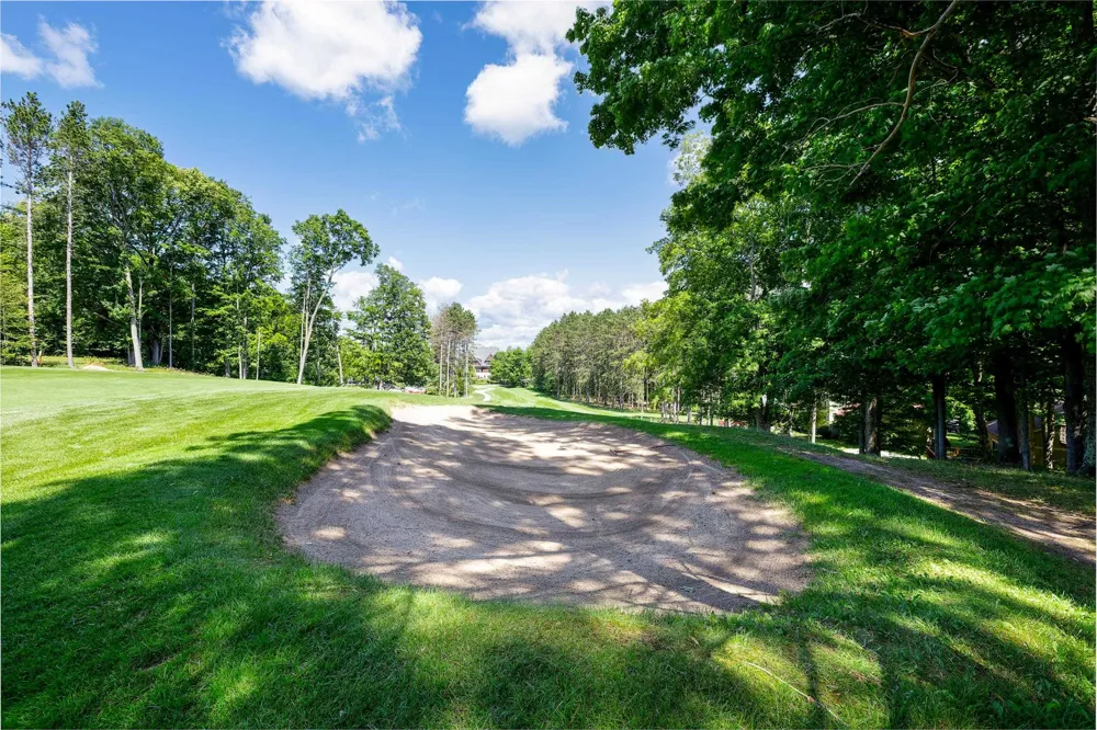 12132 Crystal Mountain Drive Weldon Township, MI 49683