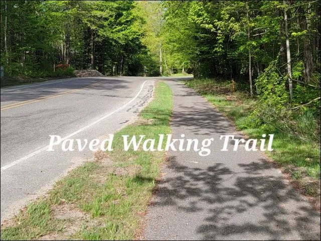 6531 Schuss Mountain Lane Custer Township, MI 49659