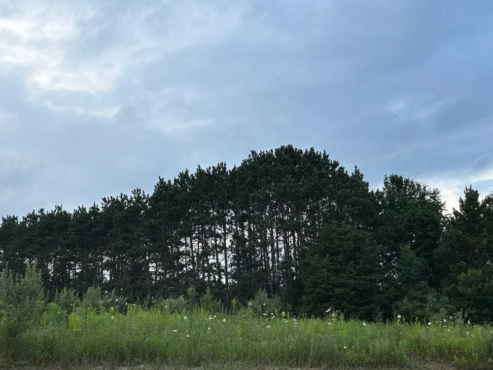 Markenwood Lane Whitewater Township, MI 49690