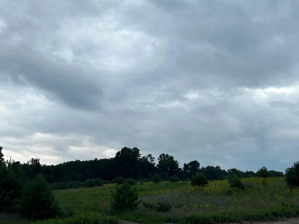 Markenwood Lane Whitewater Township, MI 49690