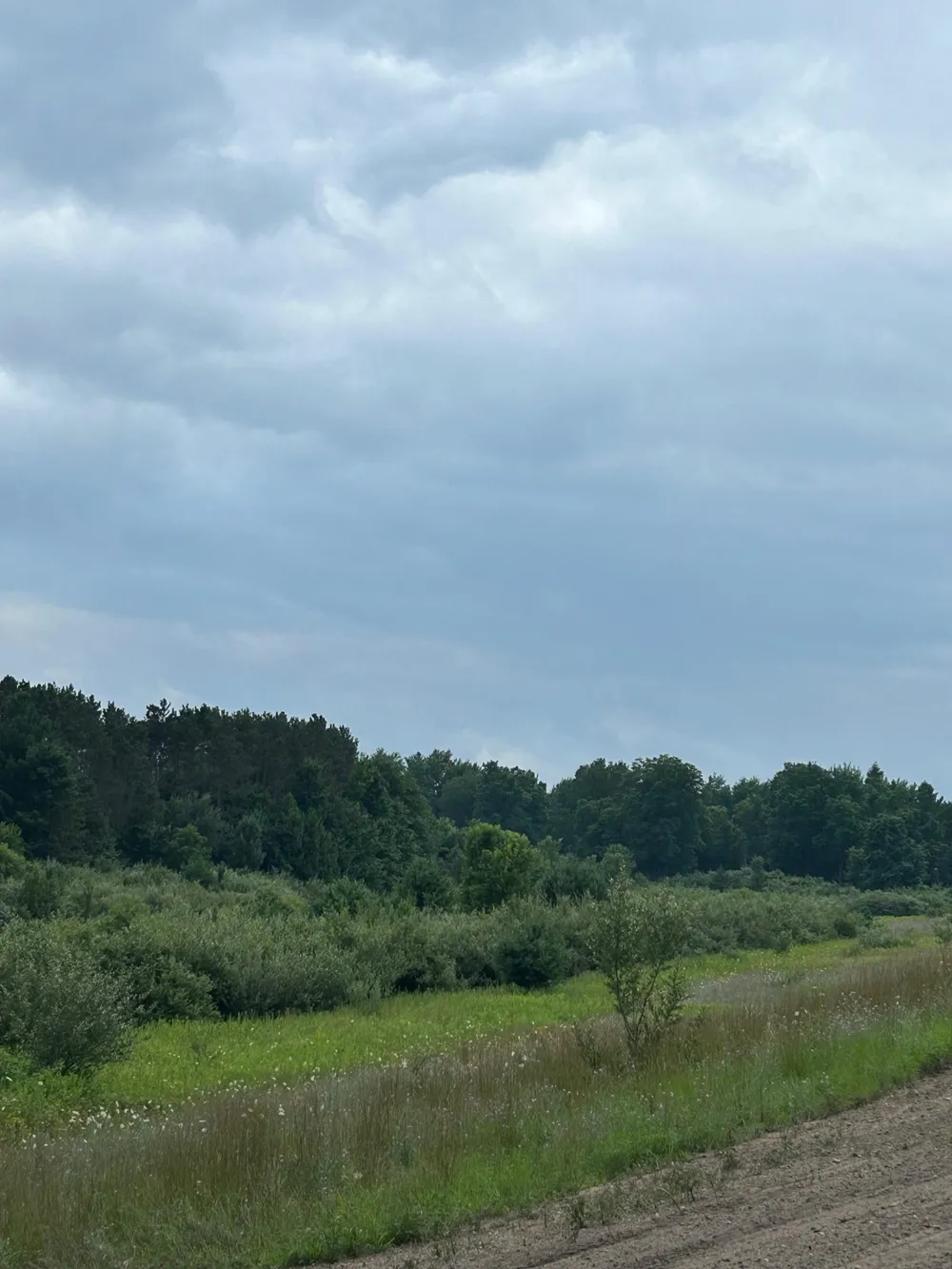 Markenwood Lane Whitewater Township, MI 49690