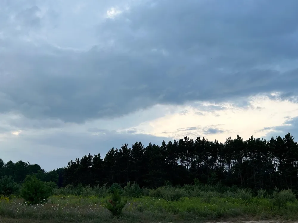 Markenwood Lane Whitewater Township, MI 49690