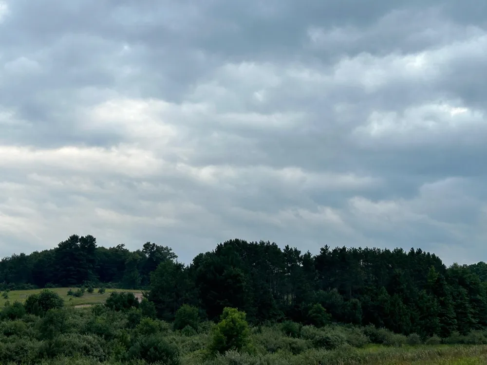 Markenwood Lane Whitewater Township, MI 49690