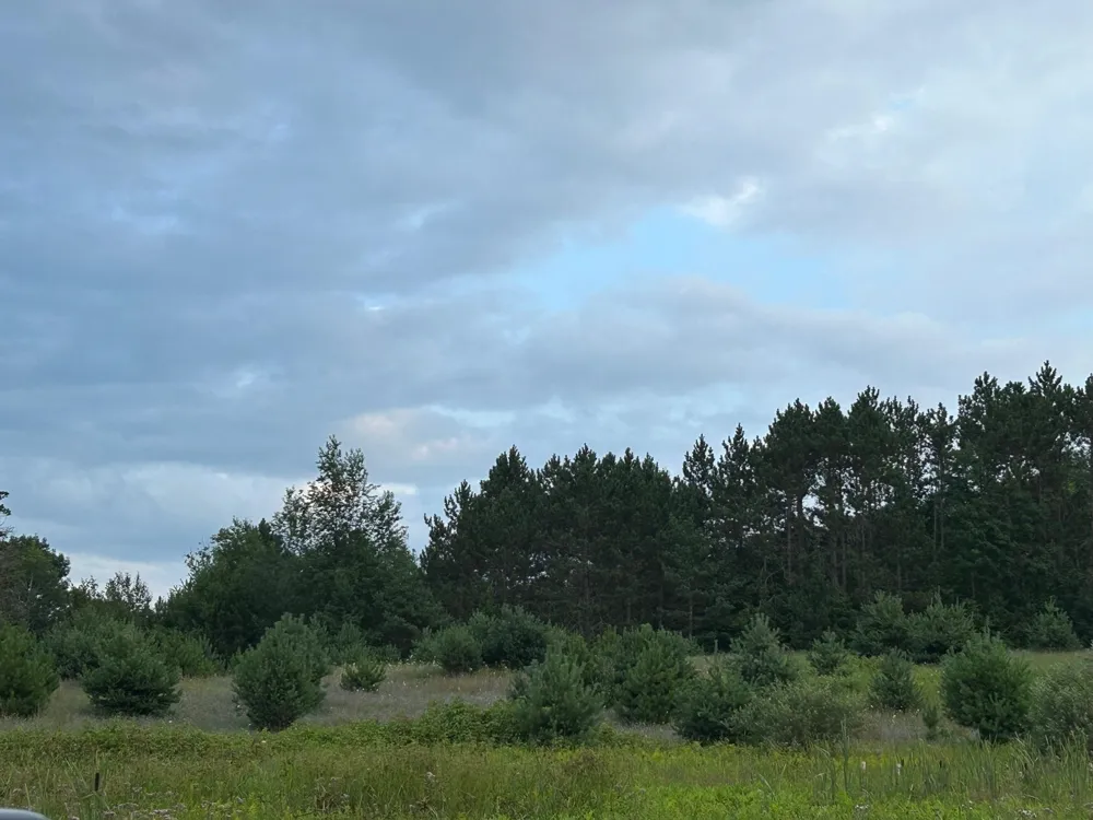 Markenwood Lane Whitewater Township, MI 49690