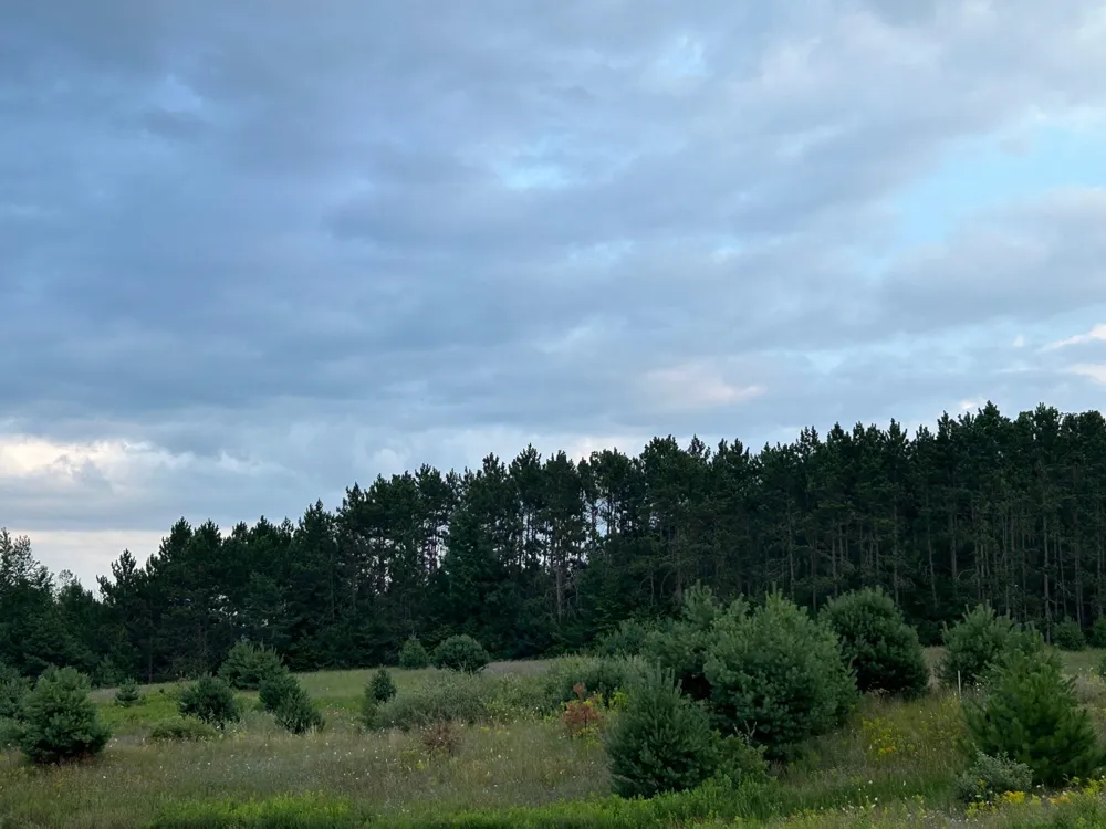 Markenwood Lane Whitewater Township, MI 49690
