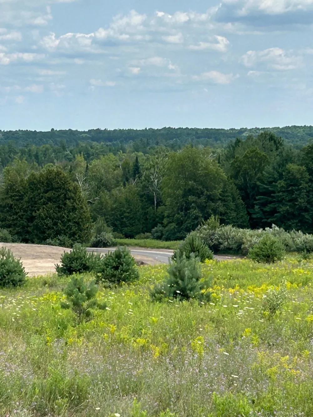 Markenwood Lane Whitewater Township, MI 49690