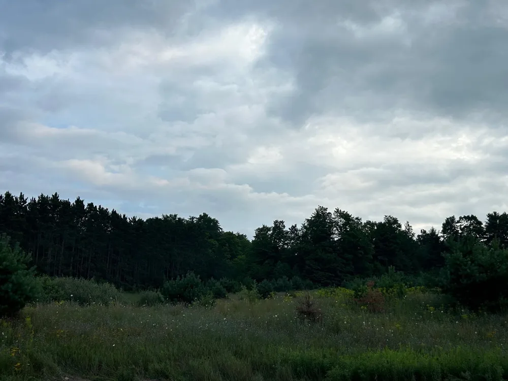 Markenwood Lane Whitewater Township, MI 49690