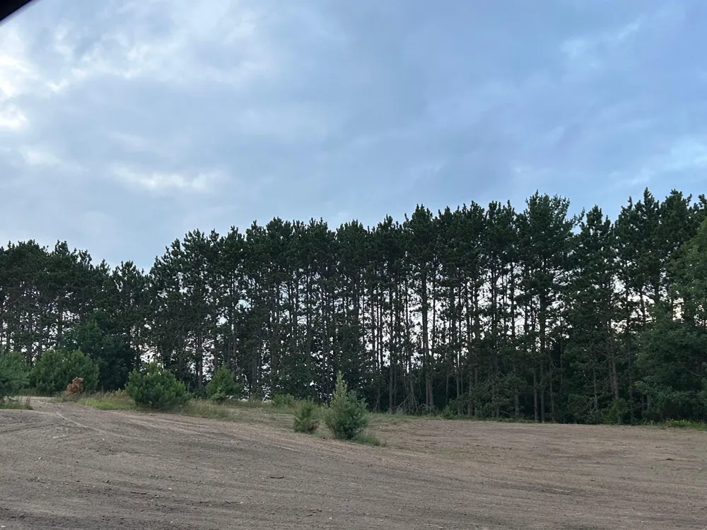 Markenwood Lane Whitewater Township, MI 49690